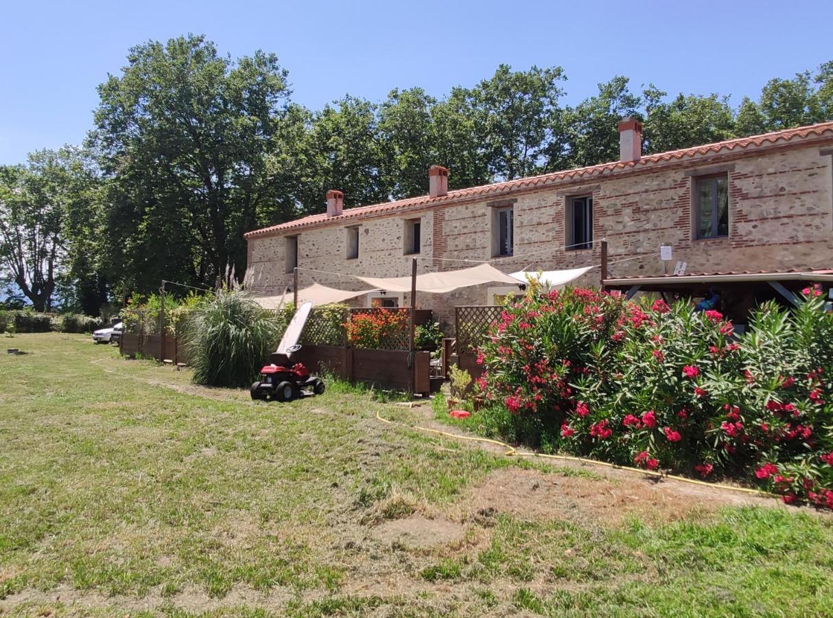 Les appartements du Mas Riols Saint-Cyprien  Buitenkant foto