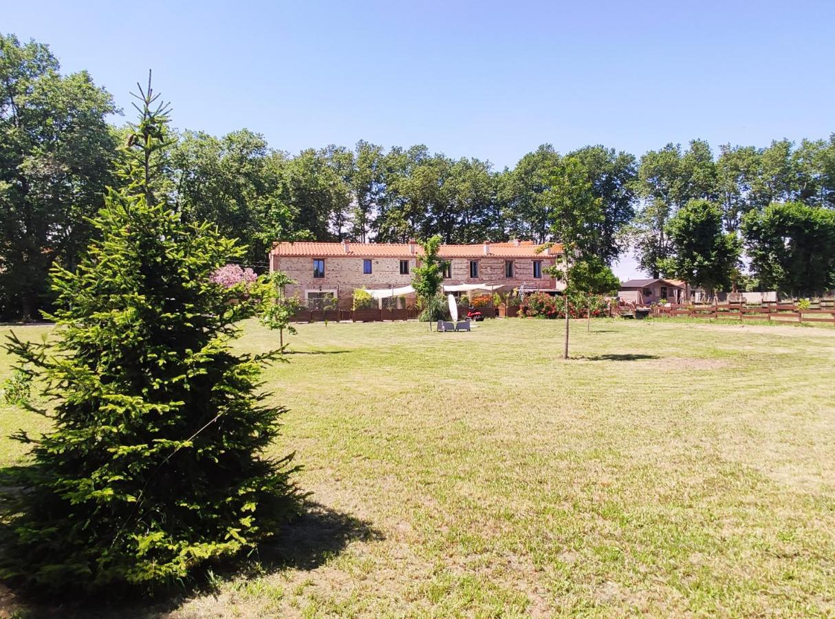 Les appartements du Mas Riols Saint-Cyprien  Buitenkant foto